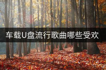 车载U盘流行歌曲哪些受欢迎？如何挑选？-千羽学社