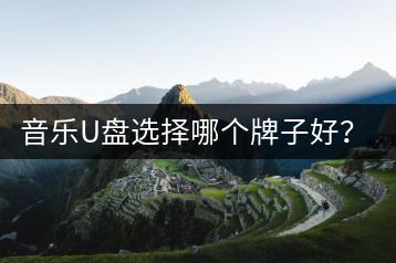 音乐U盘选择哪个牌子好？品牌对比有什么推荐？-千羽学社