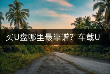 买U盘哪里最靠谱？车载U盘带歌的选购指南有哪些？-千羽学社