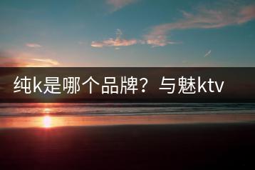 纯k是哪个品牌？与魅ktv歌曲库相比如何？-千羽学社