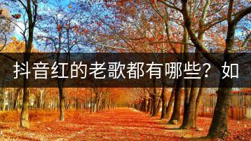抖音红的老歌都有哪些？如何不错过这些经典？-千羽学社