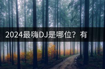 2024最嗨DJ是哪位？有哪些热门歌曲推荐？-千羽学社