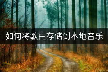 如何将歌曲存储到本地音乐文件夹？-千羽学社