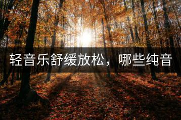 轻音乐舒缓放松，哪些纯音乐最适合做催眠曲？-千羽学社