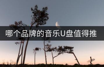 哪个品牌的音乐U盘值得推荐？购买时要注意什么？-千羽学社