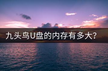 九头鸟U盘的内存有多大？和其他品牌比如何？-千羽学社