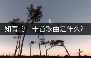 知青的二十首歌曲是什么？90年代热门歌曲可以推荐吗？-千羽学社