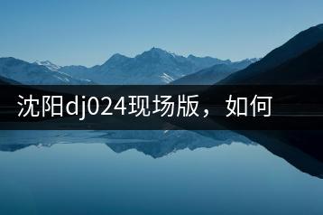 沈阳dj024现场版，如何获取高清音质版本？-千羽学社