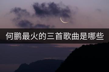 何鹏最火的三首歌曲是哪些？有何卖点？-千羽学社