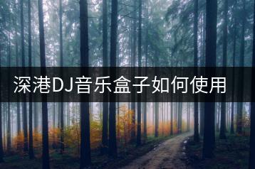 深港DJ音乐盒子如何使用？内容丰富吗？-千羽学社