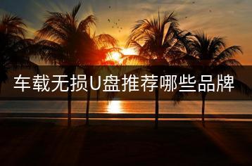 车载无损U盘推荐哪些品牌？性能如何？-千羽学社