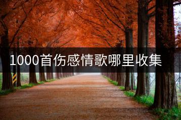1000首伤感情歌哪里收集？如何免费听这些经典歌曲？-千羽学社