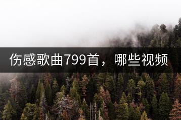 伤感歌曲799首，哪些视频15秒最感人？-千羽学社