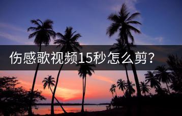 伤感歌视频15秒怎么剪？歌曲优盘在哪里买比较实惠？-千羽学社