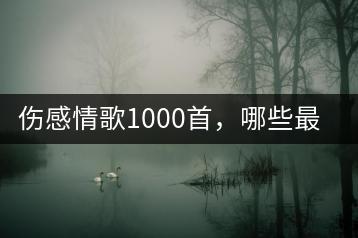 伤感情歌1000首，哪些最打动人心？-千羽学社