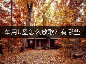 车用U盘怎么放歌？有哪些步骤？-千羽学社