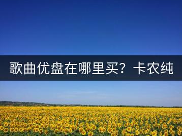 歌曲优盘在哪里买？卡农纯音乐百度云如何保存？-千羽学社