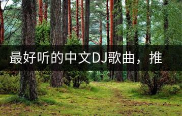 最好听的中文DJ歌曲，推荐几首？-千羽学社