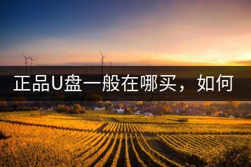 正品U盘一般在哪买，如何鉴别？-千羽学社