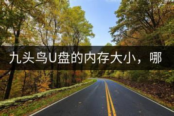 九头鸟U盘的内存大小，哪个更适合我？-千羽学社