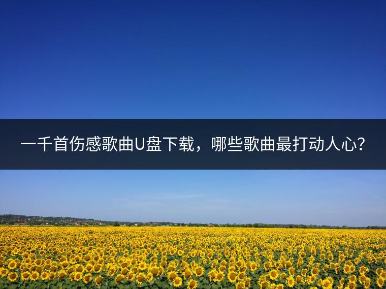 一千首伤感歌曲U盘下载，哪些歌曲最打动人心？