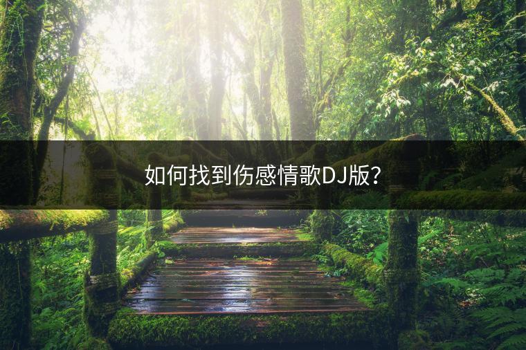 如何找到伤感情歌DJ版？