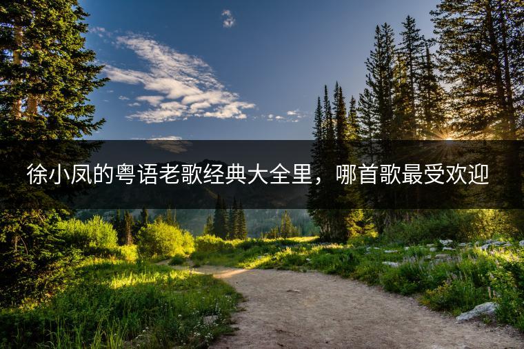徐小凤的粤语老歌经典大全里，哪首歌最受欢迎？