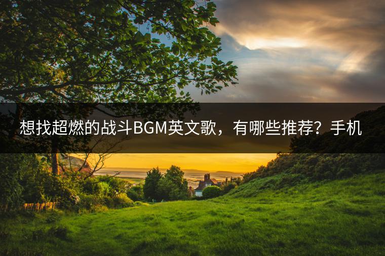 想找超燃的战斗BGM英文歌，有哪些推荐？手机插了U盘该怎么打