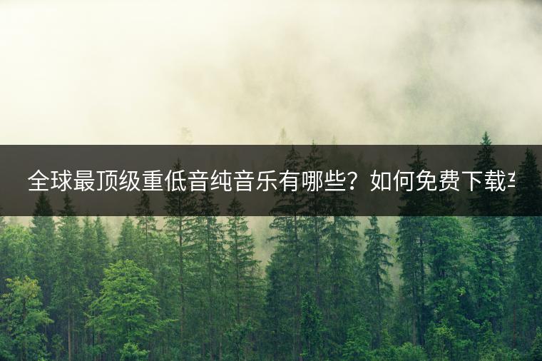 全球最顶级重低音纯音乐有哪些？如何免费下载车载DJ舞曲？