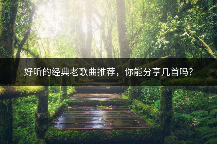 好听的经典老歌曲推荐，你能分享几首吗？