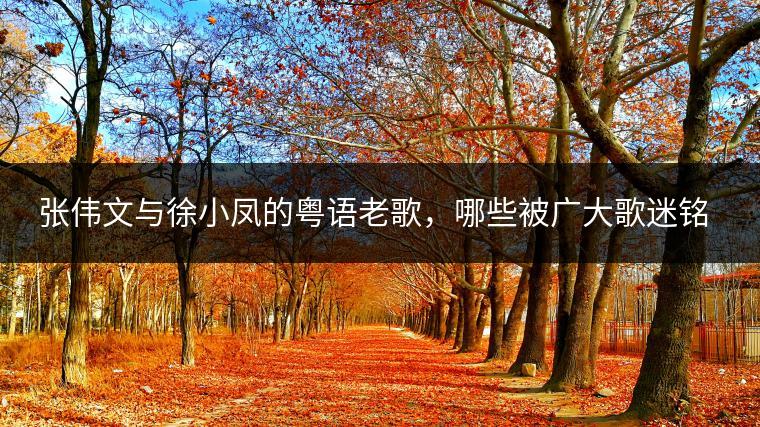 张伟文与徐小凤的粤语老歌，哪些被广大歌迷铭记？