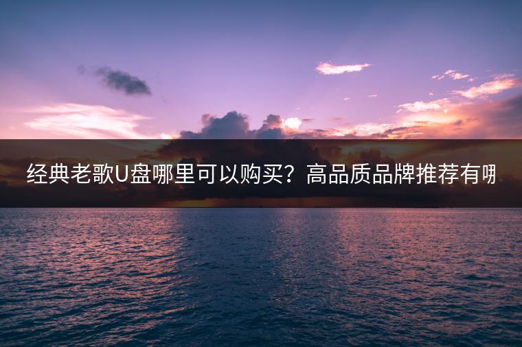 经典老歌U盘哪里可以购买？高品质品牌推荐有哪些？