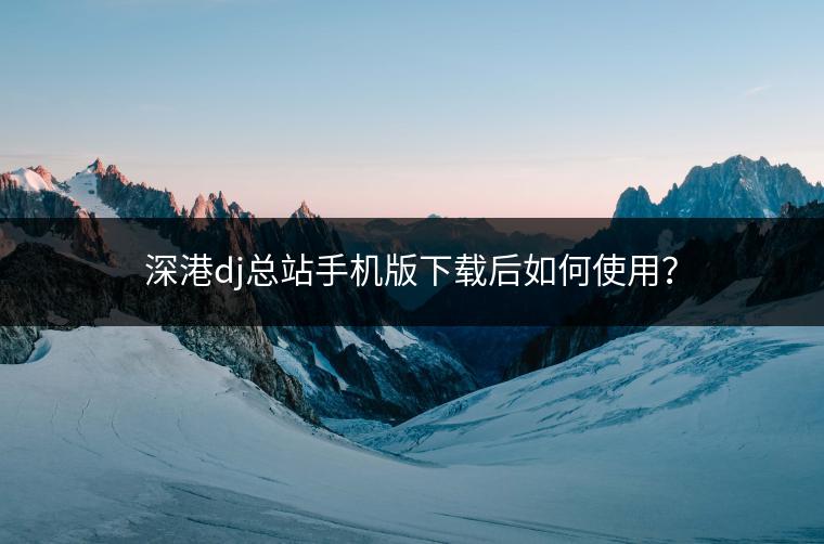 深港dj总站手机版下载后如何使用？