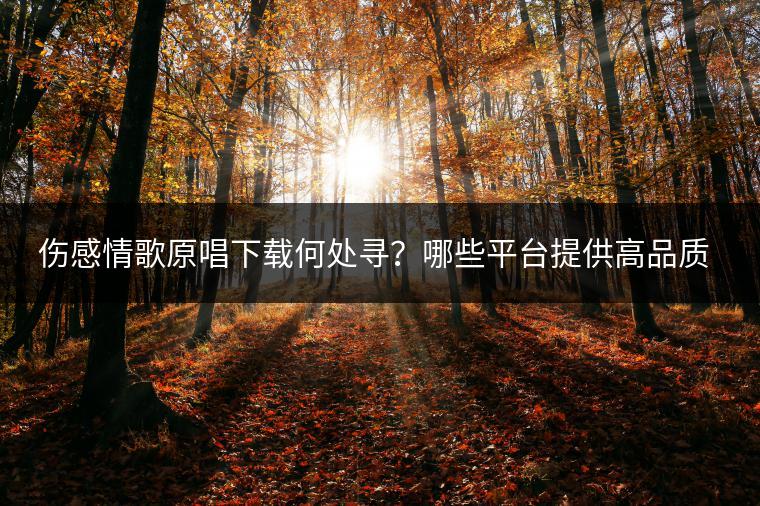 伤感情歌原唱下载何处寻？哪些平台提供高品质车载音乐？