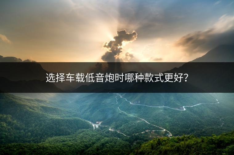 选择车载低音炮时哪种款式更好？