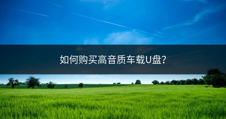 如何购买高音质车载U盘？