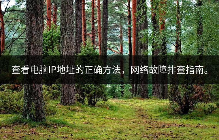 查看电脑IP地址的正确方法，网络故障排查指南。