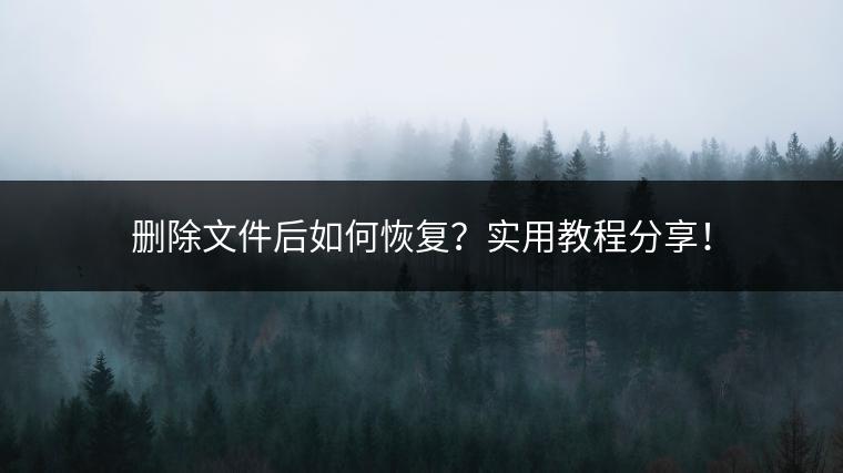 删除文件后如何恢复？实用教程分享！