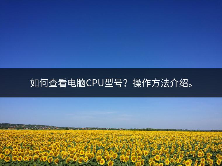 如何查看电脑CPU型号？操作方法介绍。