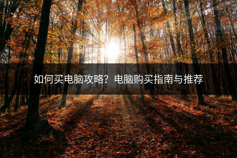 如何买电脑攻略？电脑购买指南与推荐