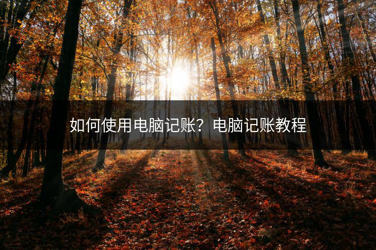 如何使用电脑记账？电脑记账教程