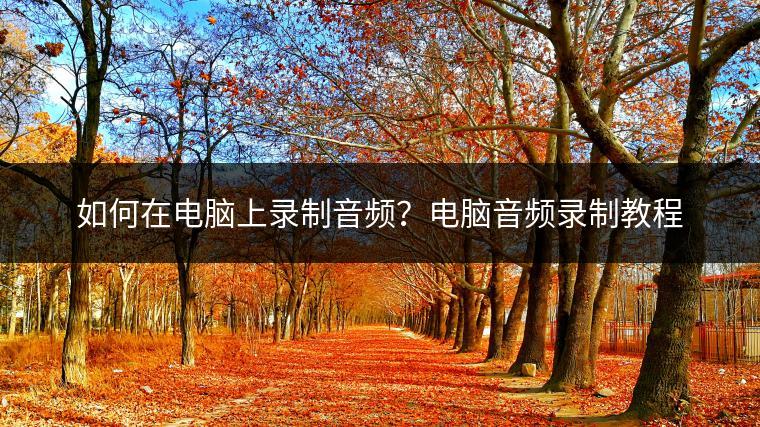 如何在电脑上录制音频？电脑音频录制教程