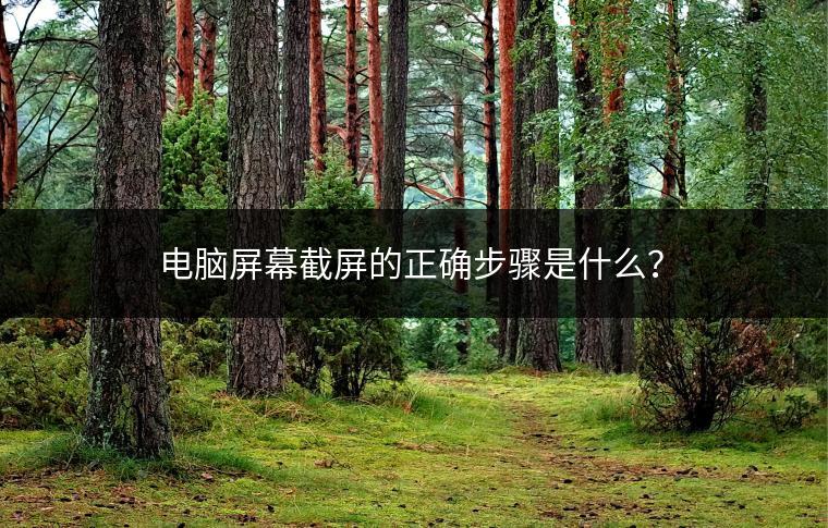 电脑屏幕截屏的正确步骤是什么？