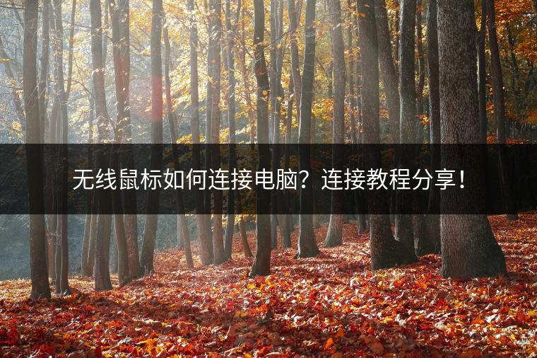 无线鼠标如何连接电脑？连接教程分享！