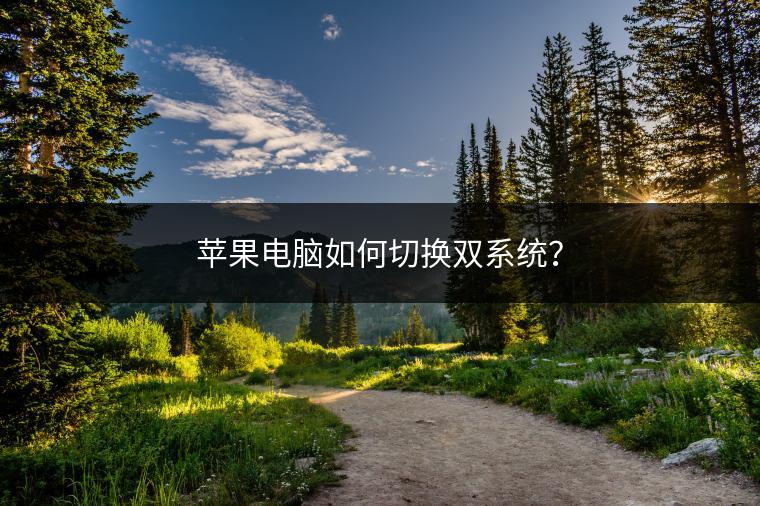 苹果电脑如何切换双系统？