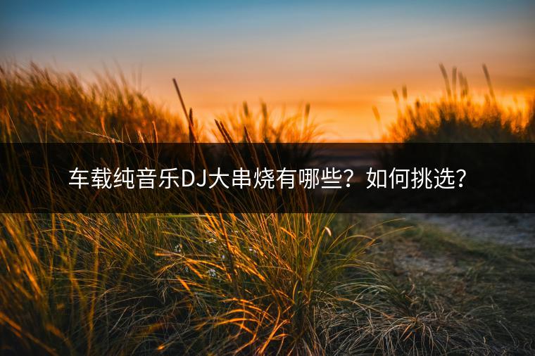 车载纯音乐DJ大串烧有哪些？如何挑选？