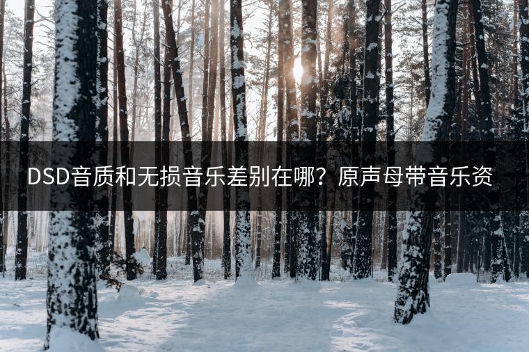 DSD音质和无损音乐差别在哪？原声母带音乐资源哪里寻？