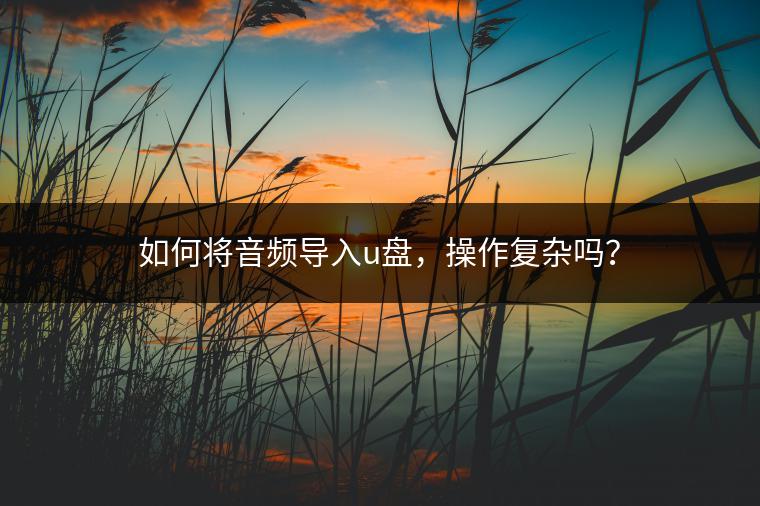 如何将音频导入u盘，操作复杂吗？