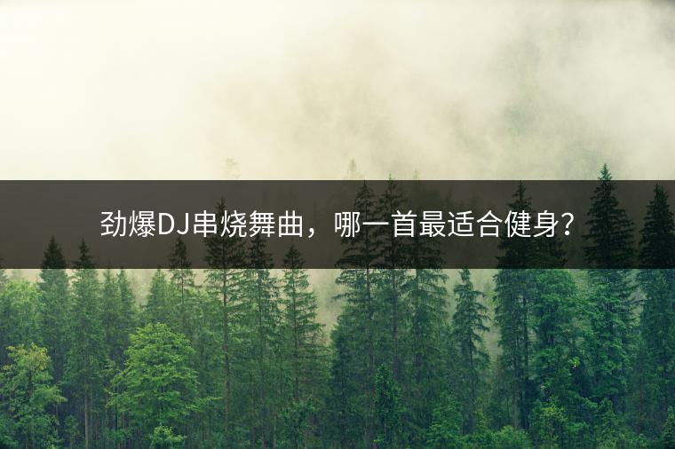 劲爆DJ串烧舞曲，哪一首最适合健身？