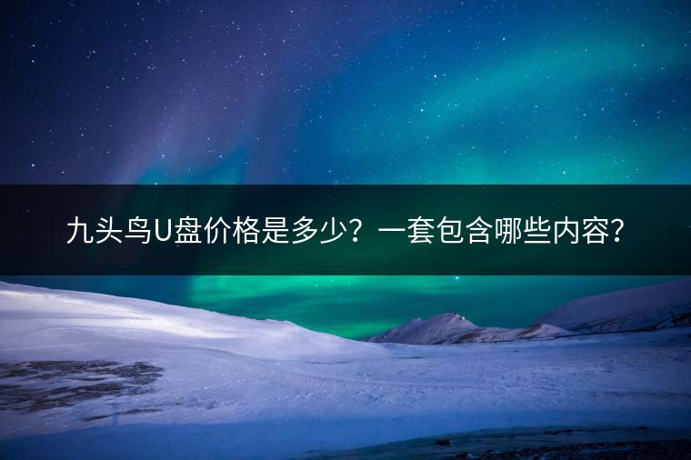 九头鸟U盘价格是多少？一套包含哪些内容？